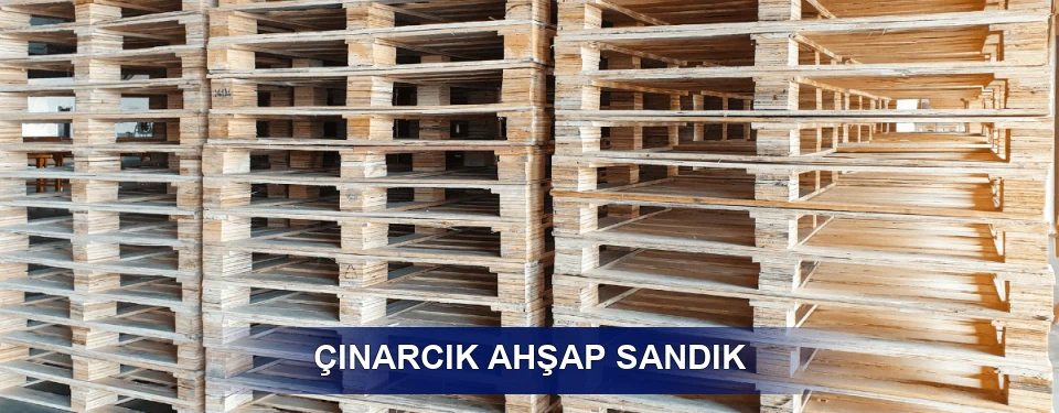 Çınarcık Ölçü Planı
