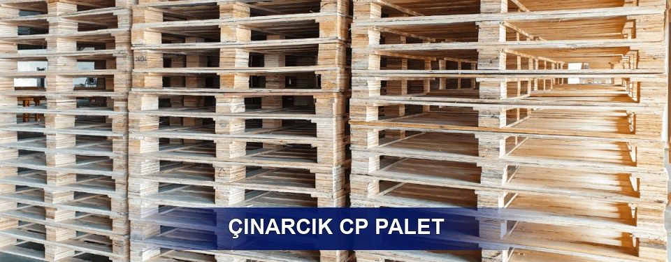 Çınarcık Standart Tipler