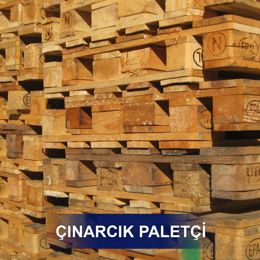 Çınarcık Paletçi