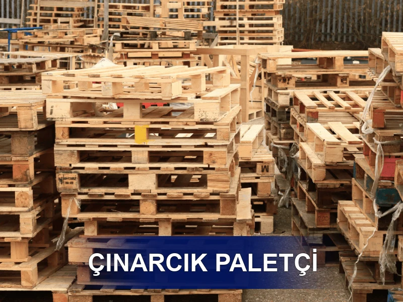 Çınarcık Palet Galeri 1