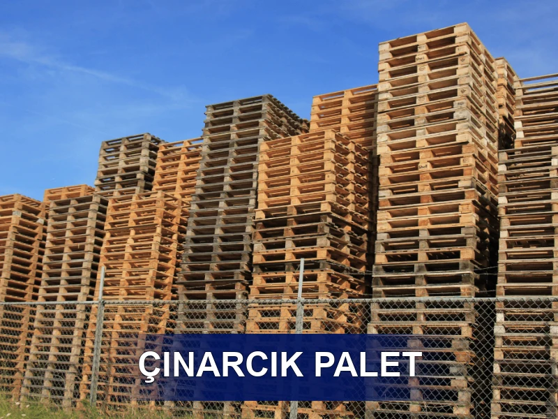 Çınarcık Palet Galeri 2