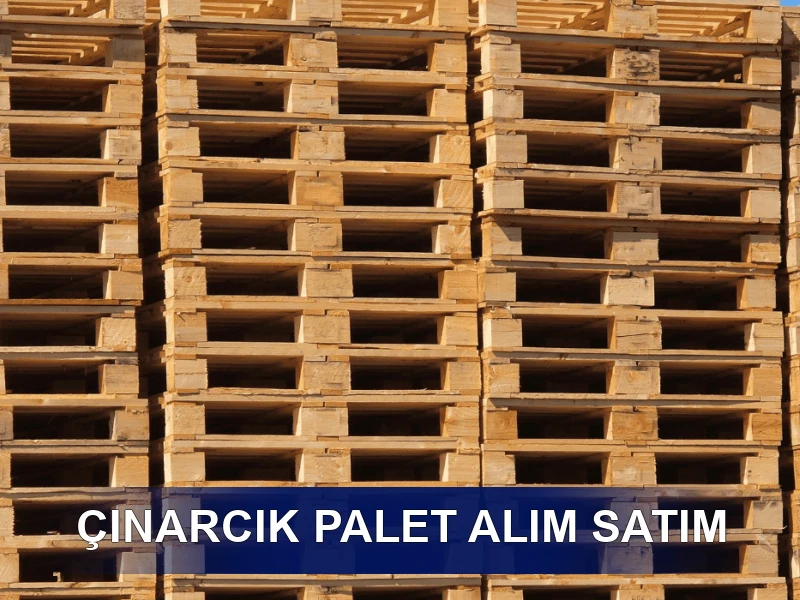 Çınarcık Palet Galeri 3