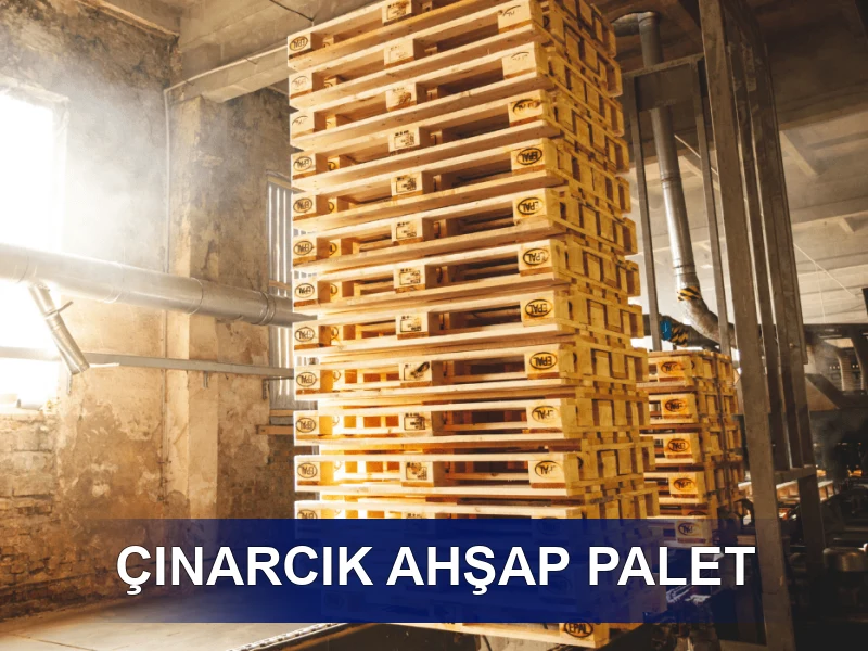 Çınarcık Palet Galeri 4