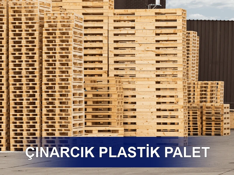 Çınarcık Palet Galeri 6
