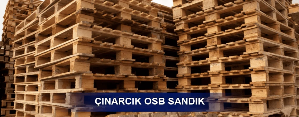 Çınarcık Ölçü Planı