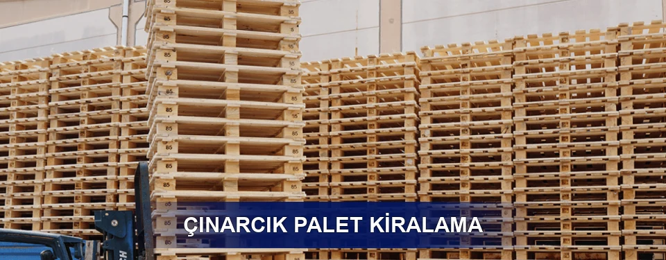 Çınarcık Uzun Dönem