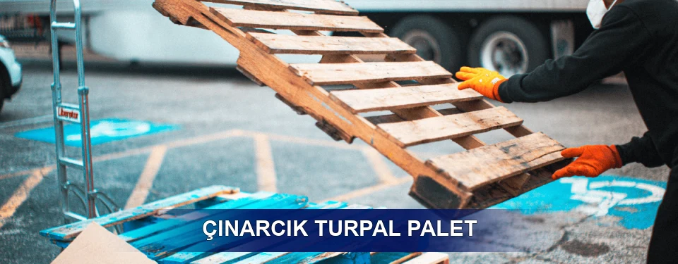Çınarcık Market Uyumu